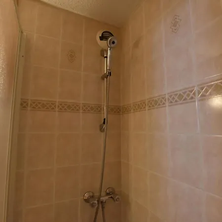Le Roselin Holiday home La Plagne