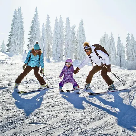 Le Roselin * La Plagne