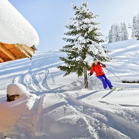 Le Roselin * La Plagne